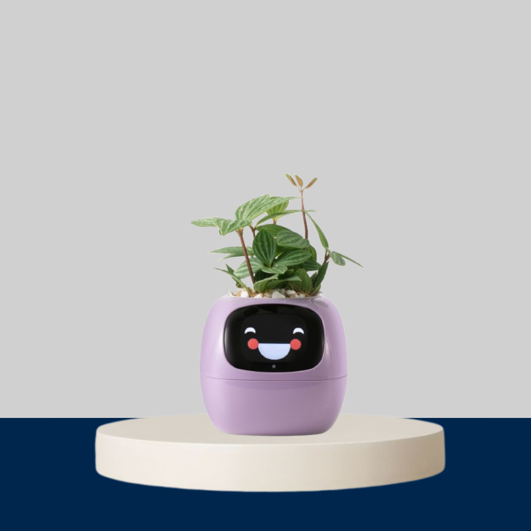 Tuya Ivy Smart Planter with Sensors
