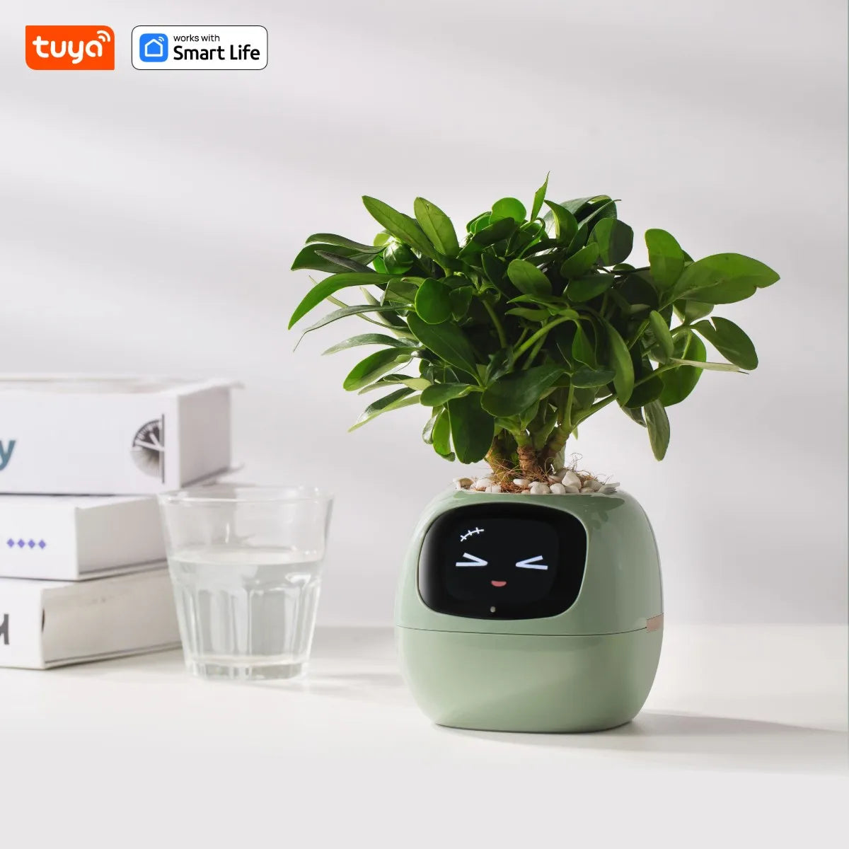 Tuya Ivy Smart Planter with Sensors
