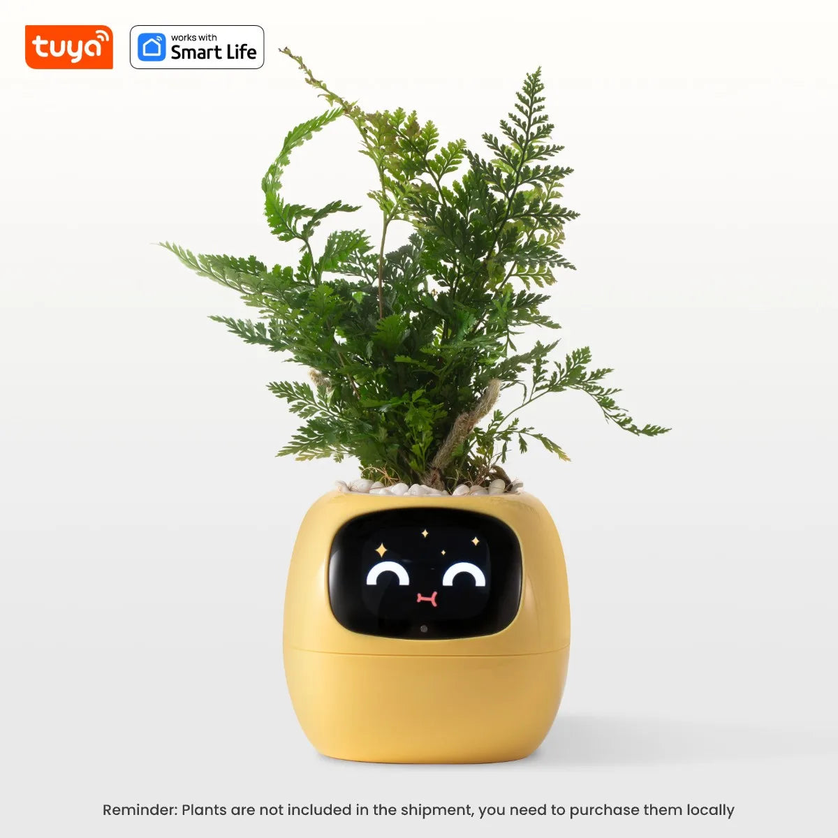 Tuya Ivy Smart Planter with Sensors
