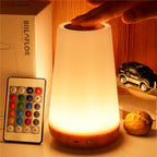 13-Color RGB Lamp with Remote